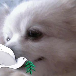 Meet your Posher, Marilyn